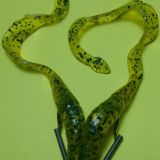 A close up of two green and black snakes