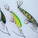Weedsweeper Weedless Leader