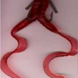 A red snake is wrapped around the body of a woman.