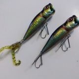 GUARD surface lures