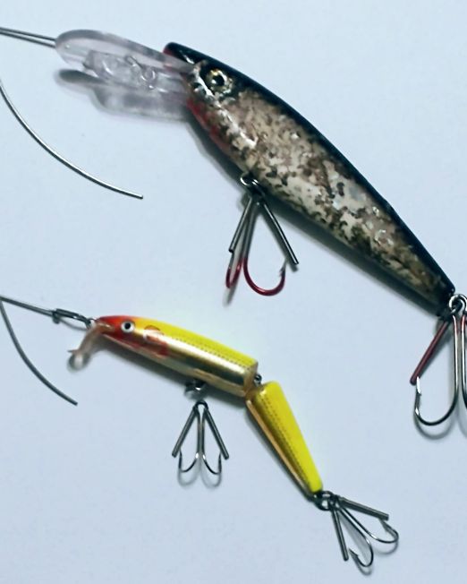 Weedsweeper Weedless Leader